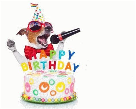 dog birthday gifs